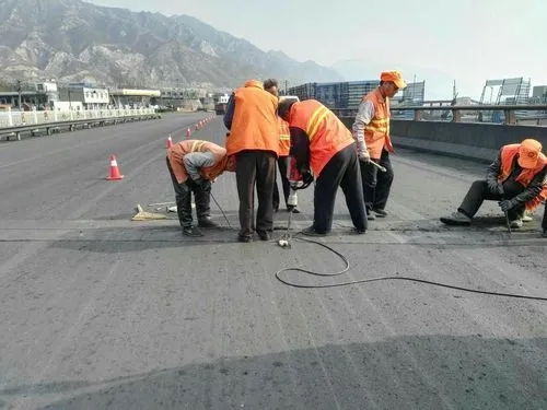 泸定道路桥梁病害治理